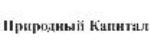 购买商标 Природный капитал